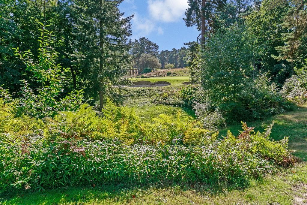 View property at Westwood Road, Windlesham GU20