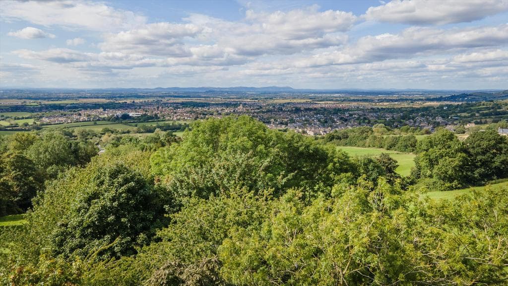Cleeve Hill, Cheltenham, Gloucestershire, GL52 - Image 5