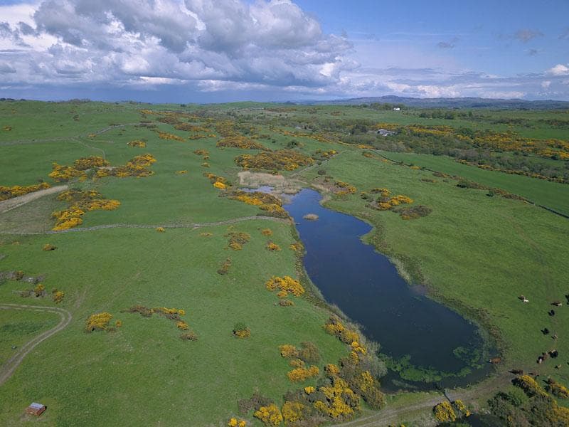 Borgue, Kirkcudbright DG6 - Image 2