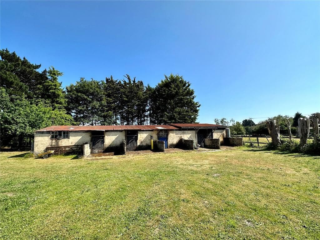 Beech Lane, St. Leonards, Ringwood, BH24 - Image 4