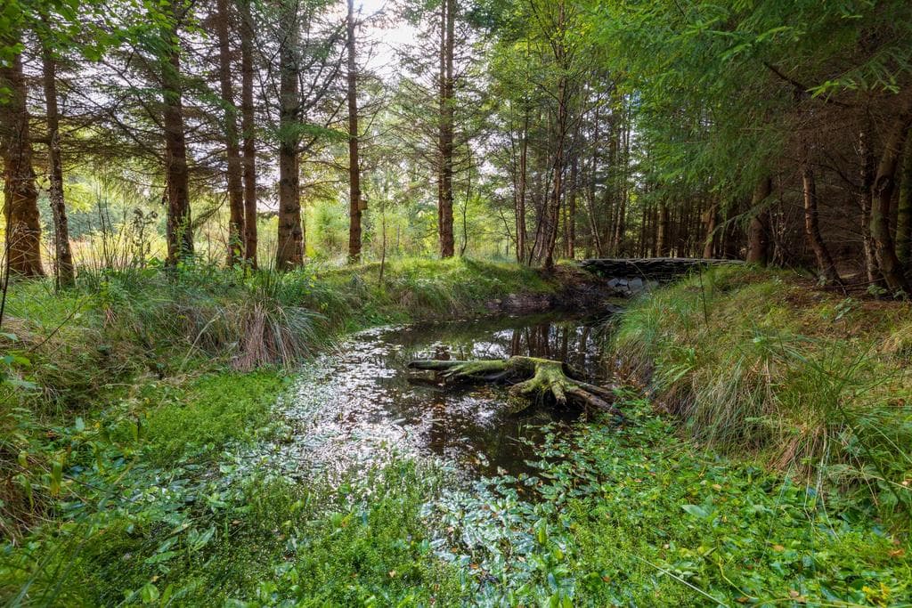 The Cotts Glen Of Rothes nr Rothes, Rothes, AB38 7AQ - Image 4
