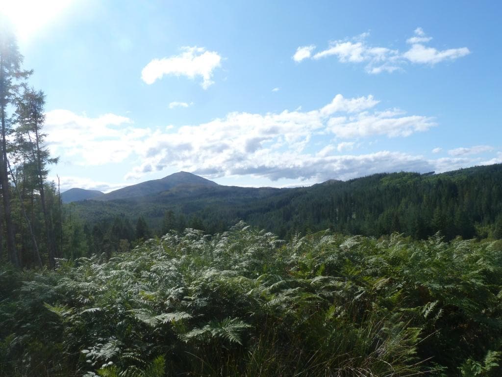Plot Faichem, Invergarry, PH35 4HH - Image 1