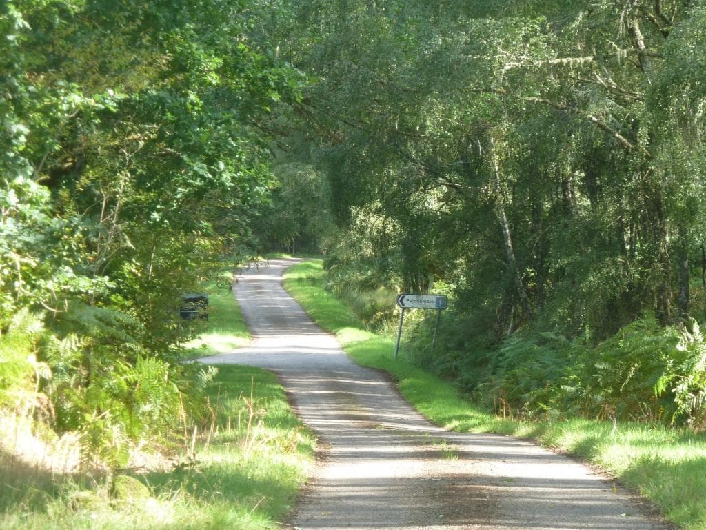 Plot Faichem, Invergarry, PH35 4HH - Image 4