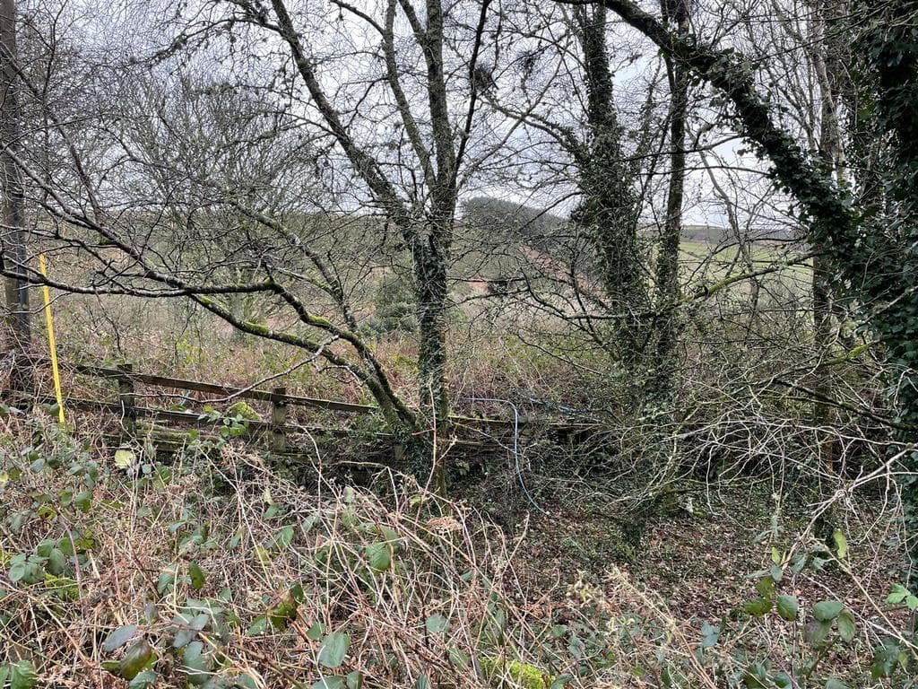 Oare, Lynton - Image 5