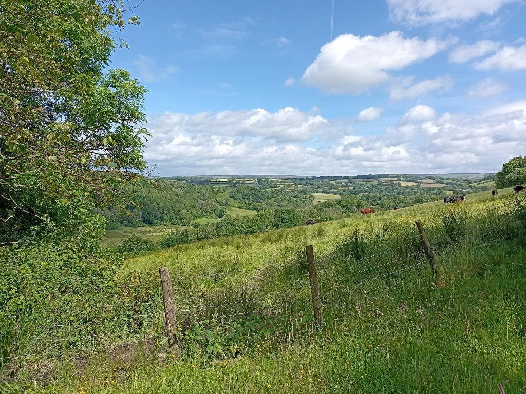 Old Pencader Road, Llandysul, Carmarthenshire, SA44 4RT - Image 4