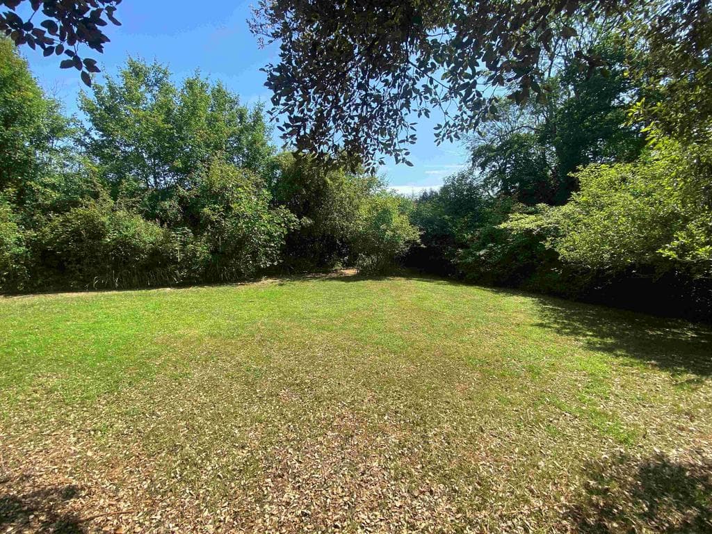 Iwood Lane, Rushlake Green TN21 - Image 4