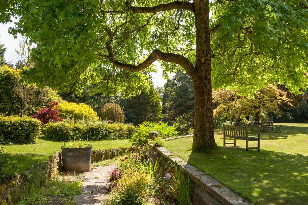 School Hill, Slindon, Arundel, West Sussex - Image 2