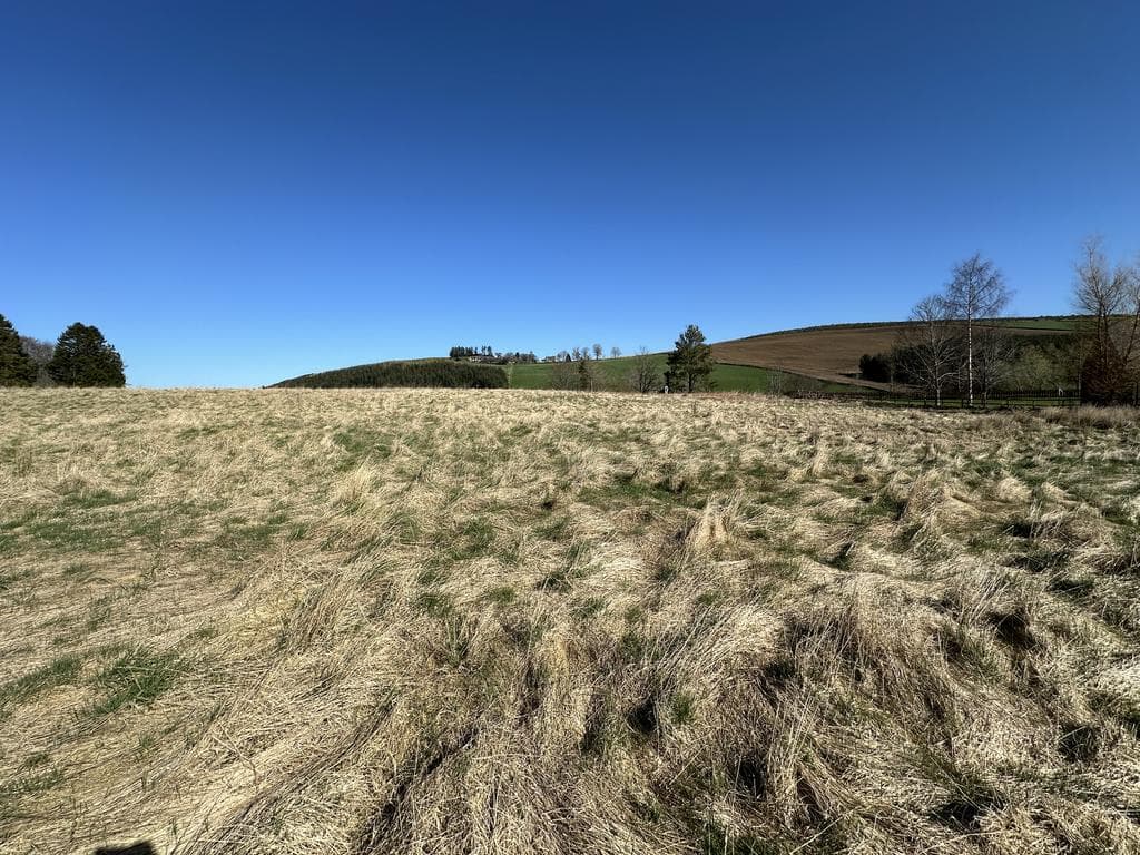 Plot 1 with Land at Muir of Fowlis, Alford AB33 - Image 2