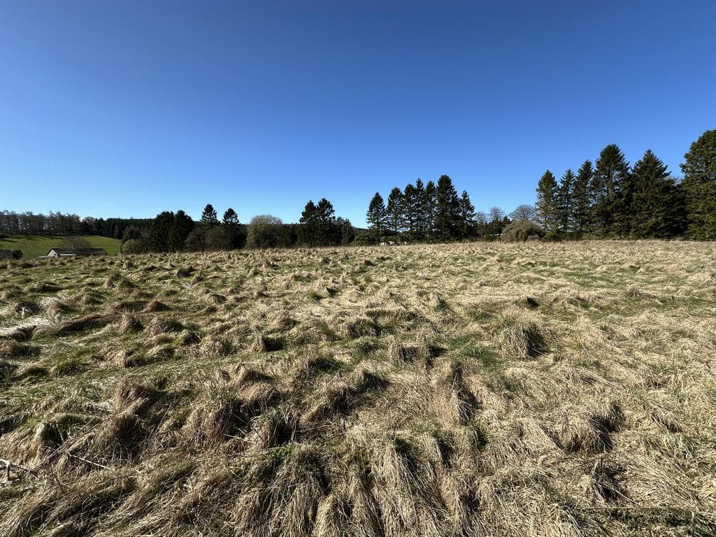 Plot 1 with Land at Muir of Fowlis, Alford AB33 - Image 5