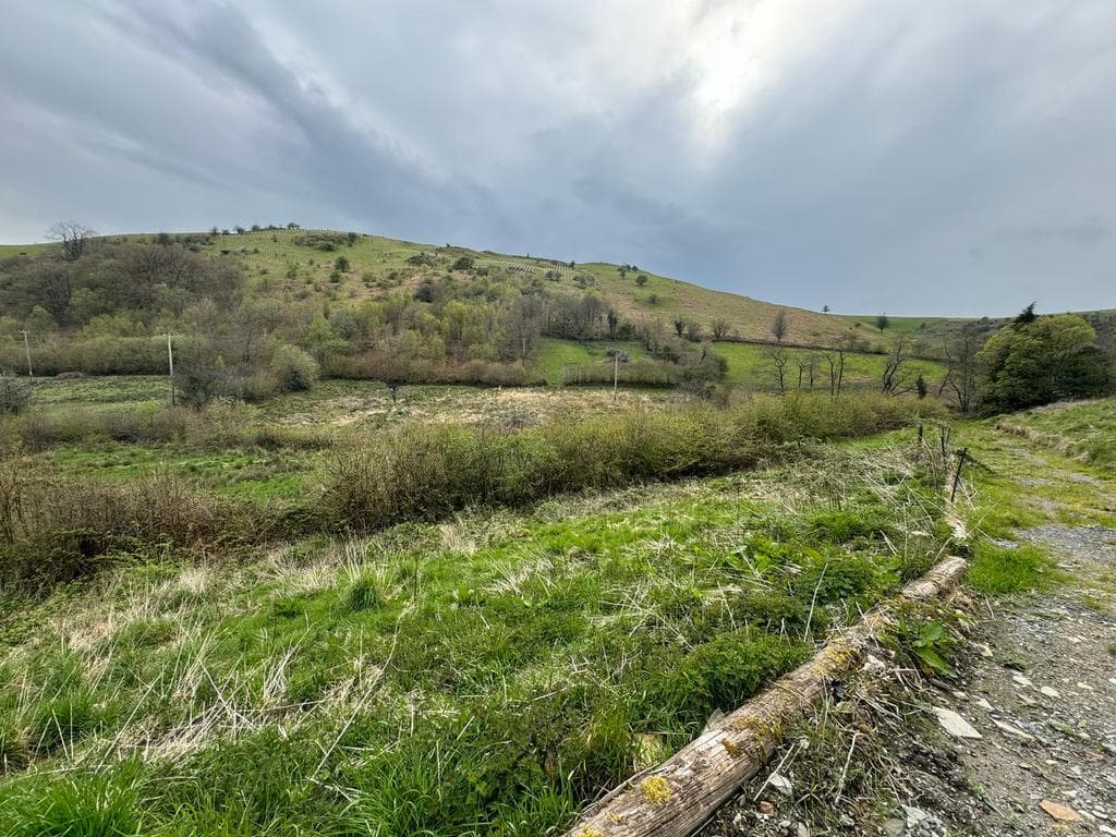 Crugybar, Llanwrda, SA19 - Image 4