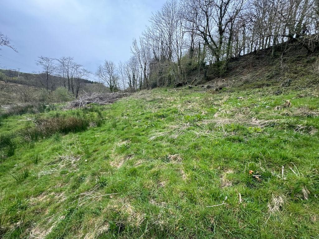 Crugybar, Llanwrda, SA19 - Image 5