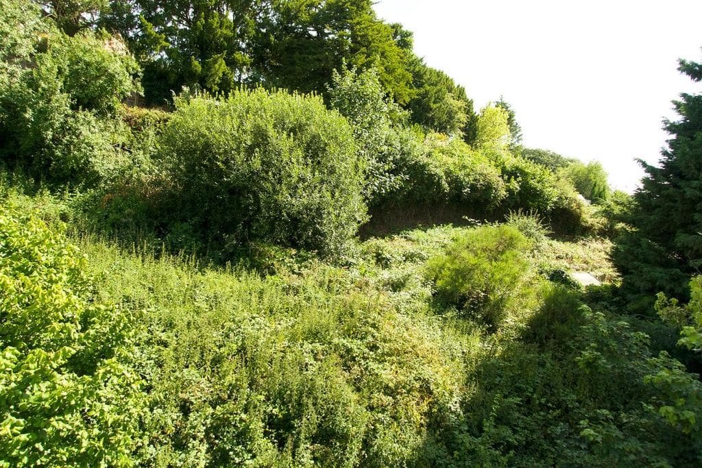 Building Land off Church Street, Ruyton Xi Towns. - Image 4