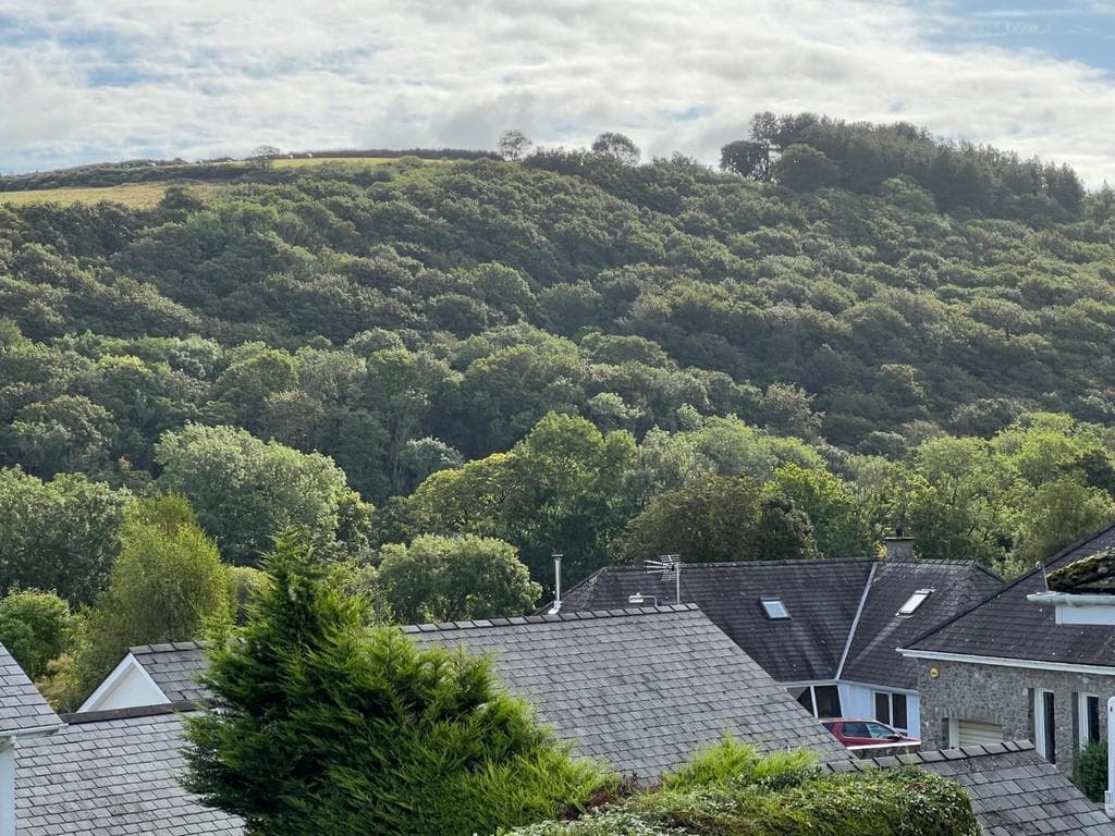 Vicarage Hill, Aberaeron, SA46 - Image 4