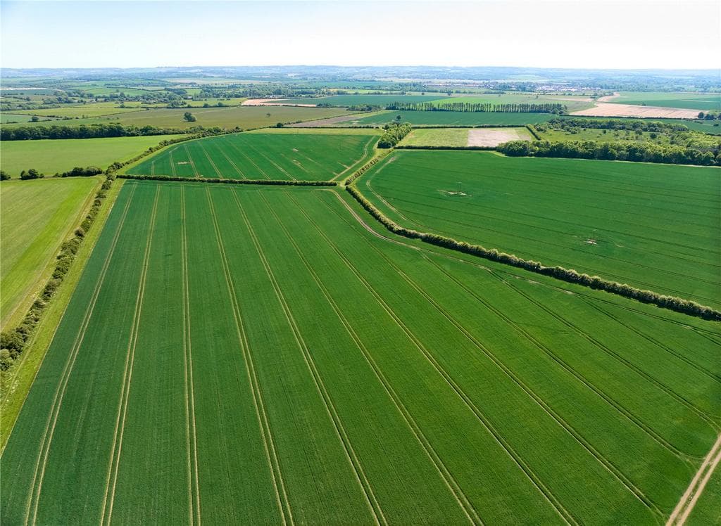 Upper Farm, Warborough, Oxfordshire, OX10 - Image 3