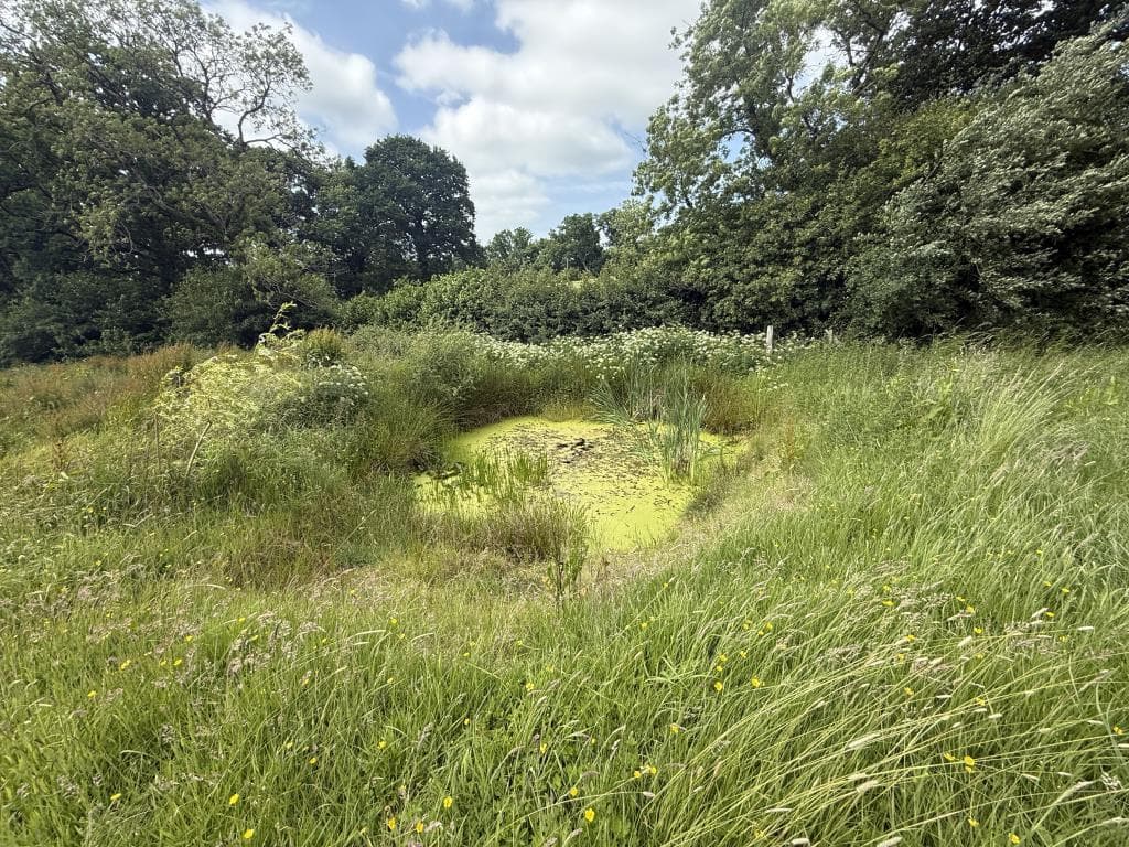 Land Adjoining Mill Rise, Luppitt, Honiton, Devon - Image 4