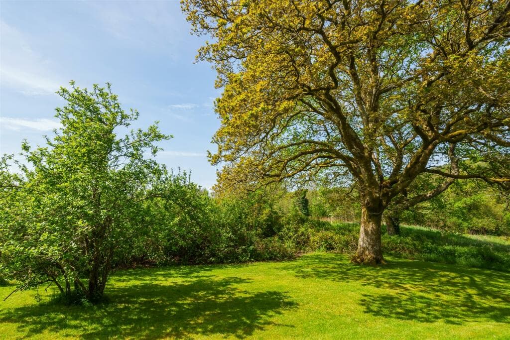 Horrabridge, Devon - Image 11