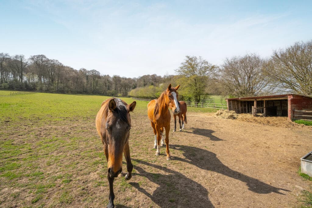 Rignall Road, Great Missenden, Buckinghamshire, HP16 - Image 2