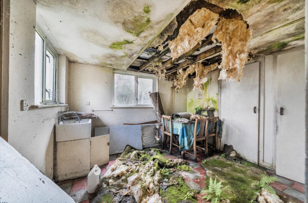 East Taphouse, Liskeard, Cornwall - Image 8