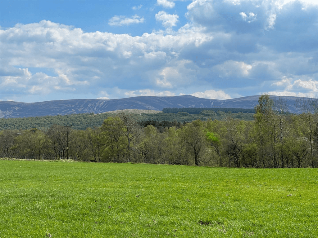 House Site, Mid Anagach, Grantown on Spey - Image 8