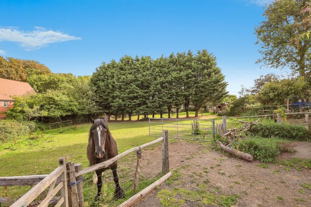 Rattle Road, Westham, Pevensey - Image 4