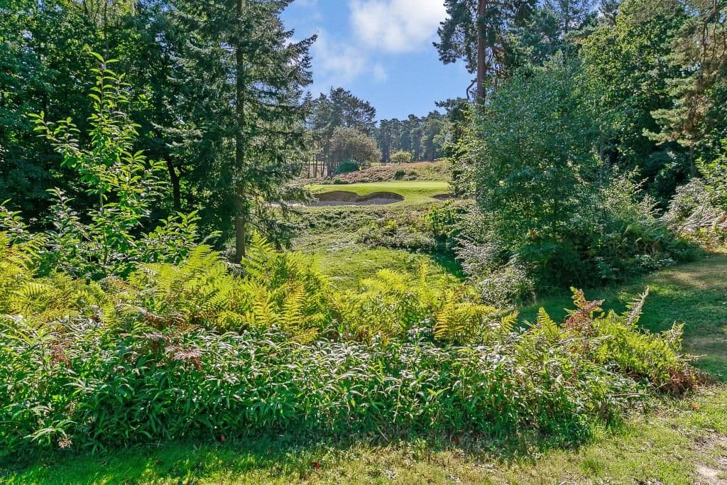 View property at Westwood Road, Windlesham GU20